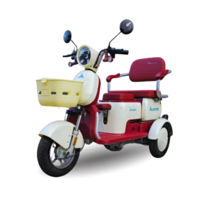 Trimoto Eléctrica Family MND