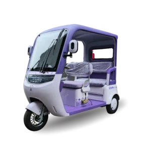 Trimoto Family Q5 Plus Morado