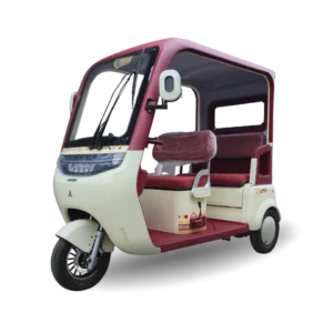 Trimoto Family Q5 Plus Guinda