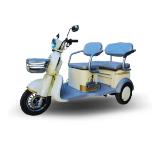 Trimoto Eléctrica Family C6S Gris