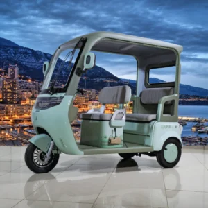 Trimoto Family Q5 Plus Verde